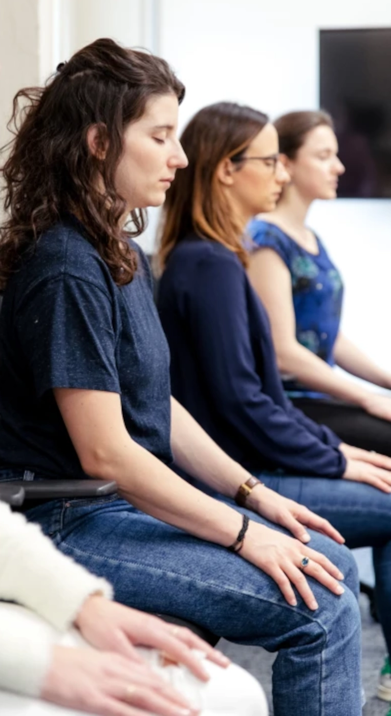 meditation-assise-portrait meditation-assise-portrait